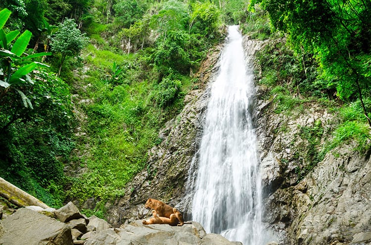 Namtok Khun Kon Forest Park