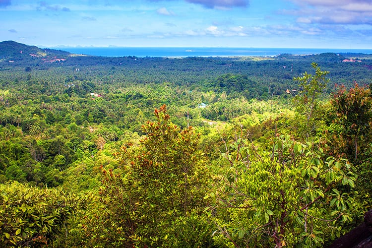 Het binnenland van Koh Phangan