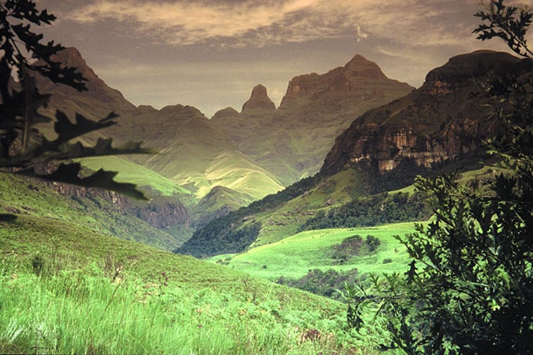 Cathedral Peak