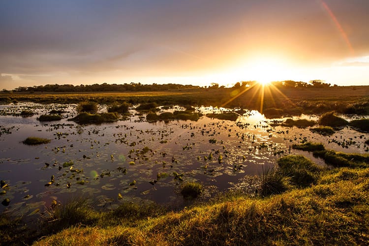 Het iSimangaliso Wetland Park