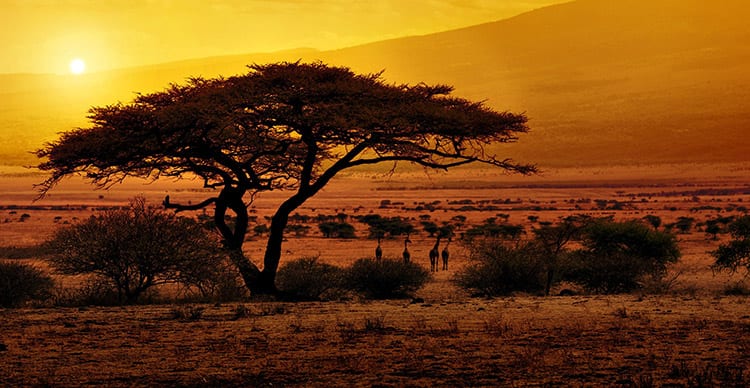 Kruger National Park