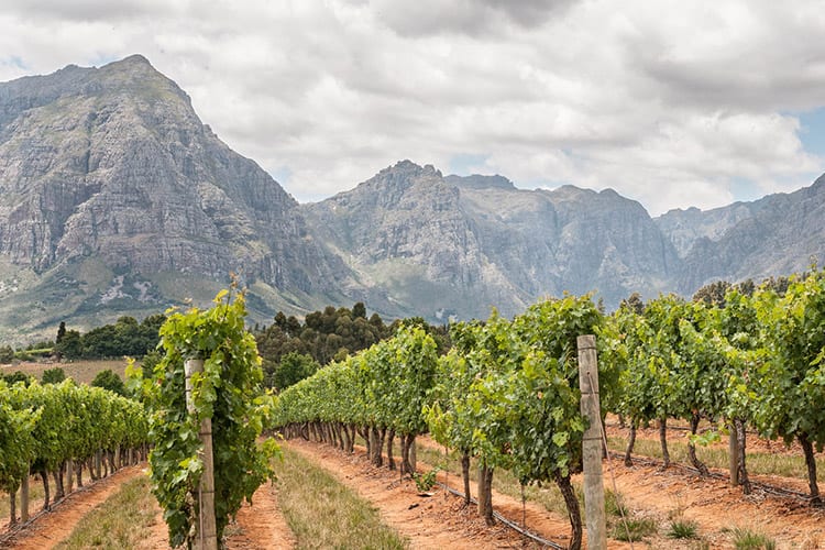 Stellenbosch
