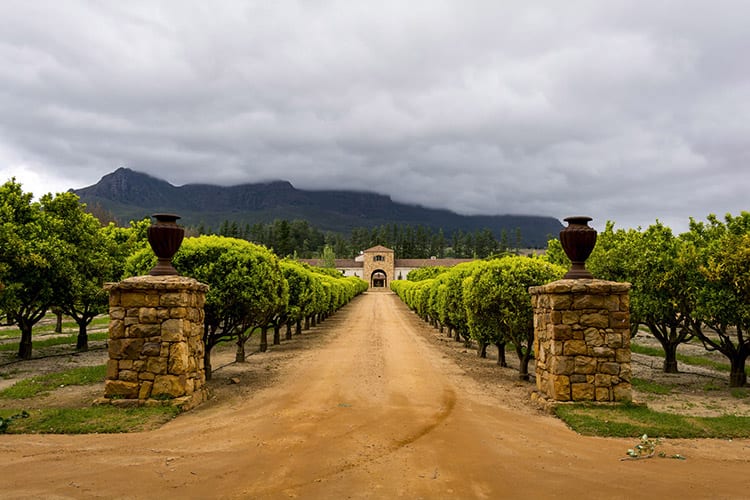 Stellenbosch wijn estate