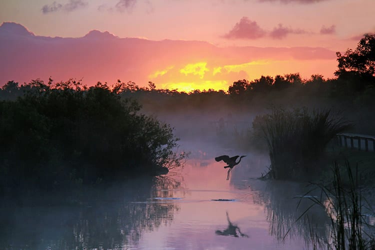Everglades National Park
