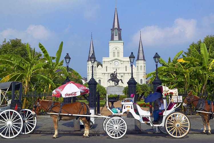 St. Louis Cathedral