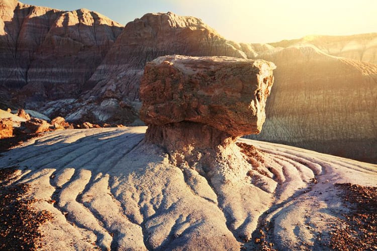 Petrified Forest National Park