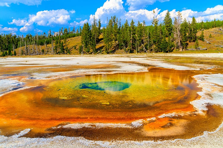 Upper Geyser Basin