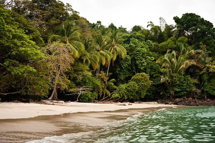 Manuel Antonio National Park strand