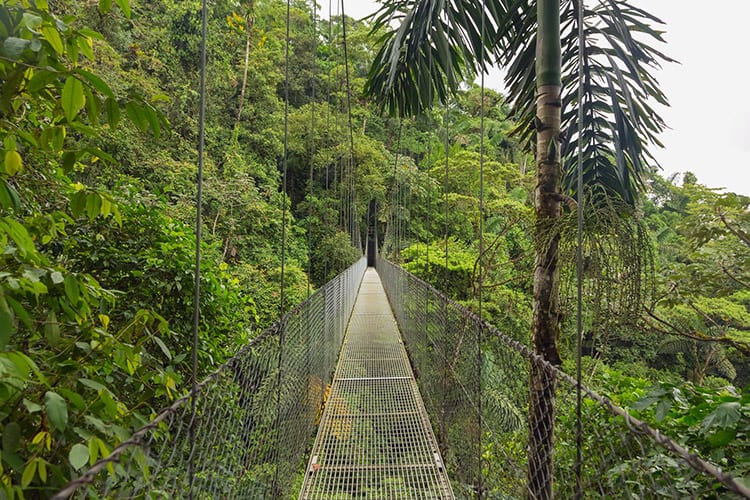 Hangbrug in Monteverde