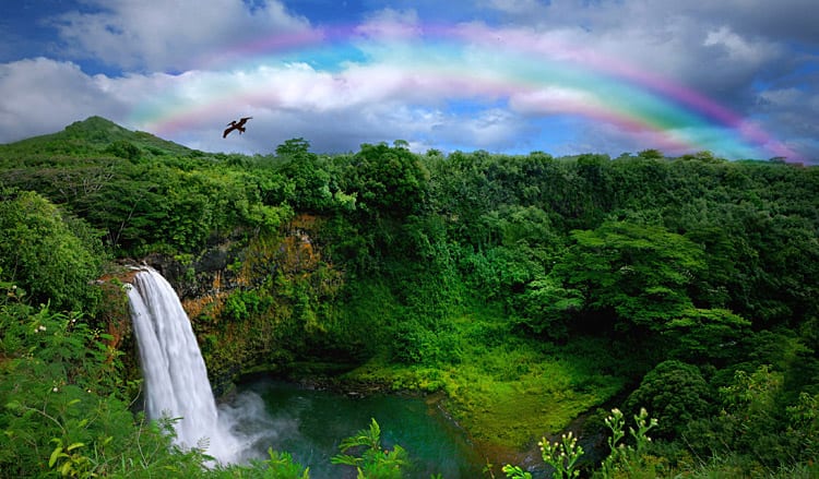 Waterval op Kauai eiland