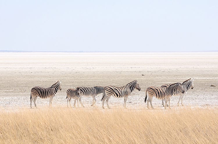 Etosha zoutpan