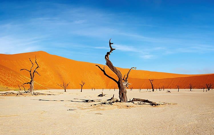 Deadvlei