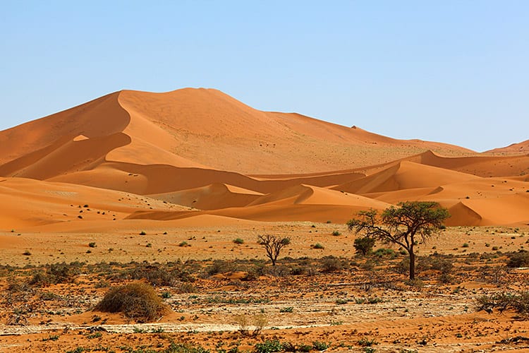 Zandduinen in het Namib-Naukluft National Park 