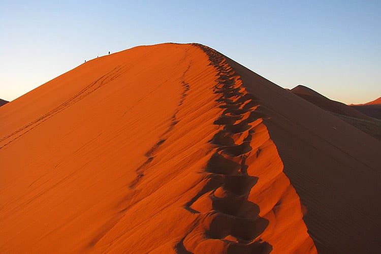 Dune 45
