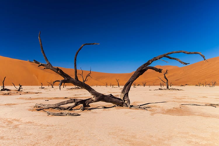 Sossusvlei