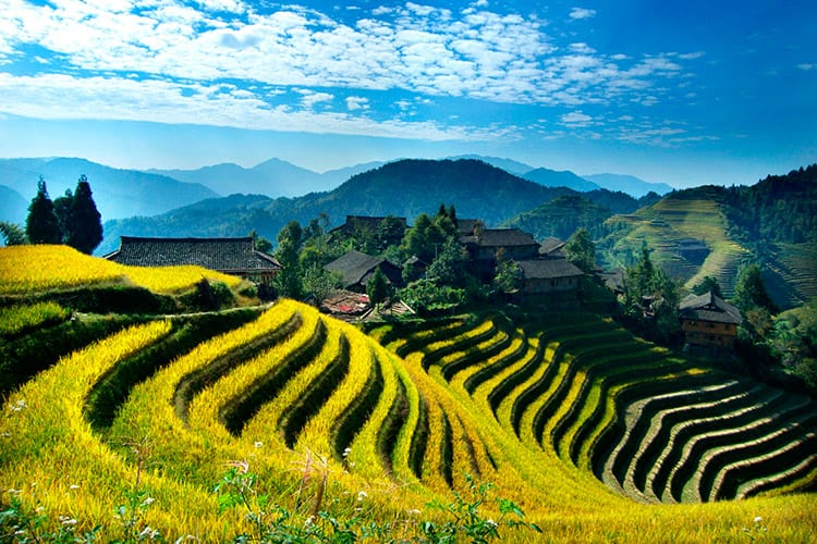 Rijstvelden van Longsheng