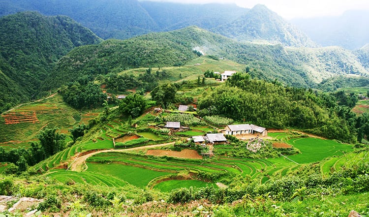 De groene en bergachtige omgeving van Sapa