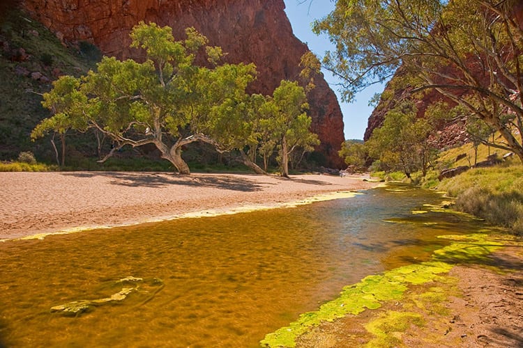 Alice Springs