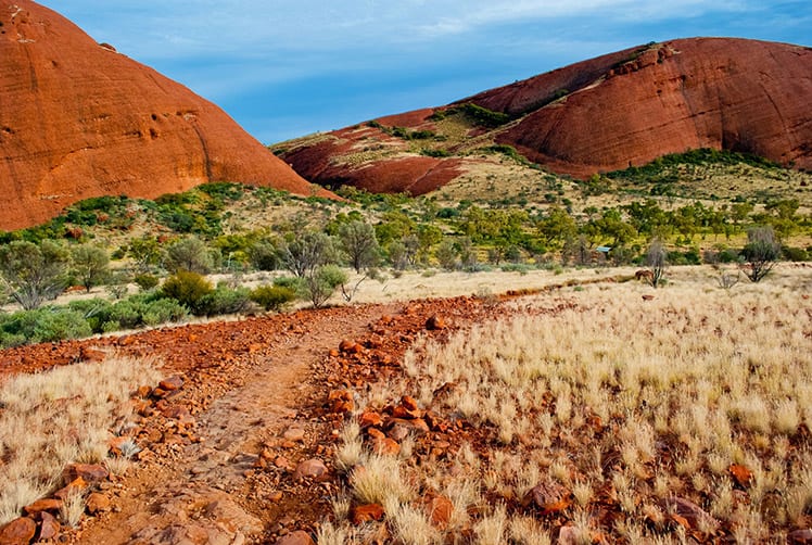 Wilde natuur in de buurt van Ayers Rock