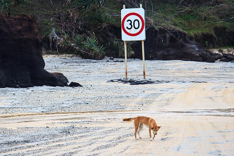 75-Mile Beach, Fraser Island