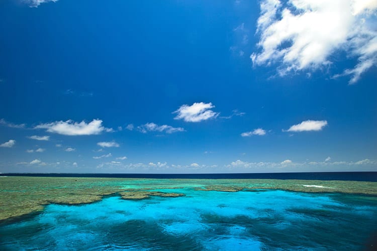 Clam Gardens, Great Barrier Reef