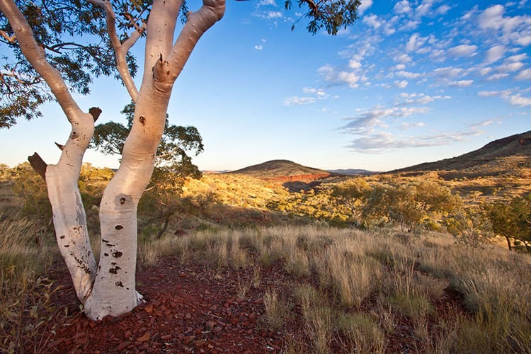 Karijini National Park