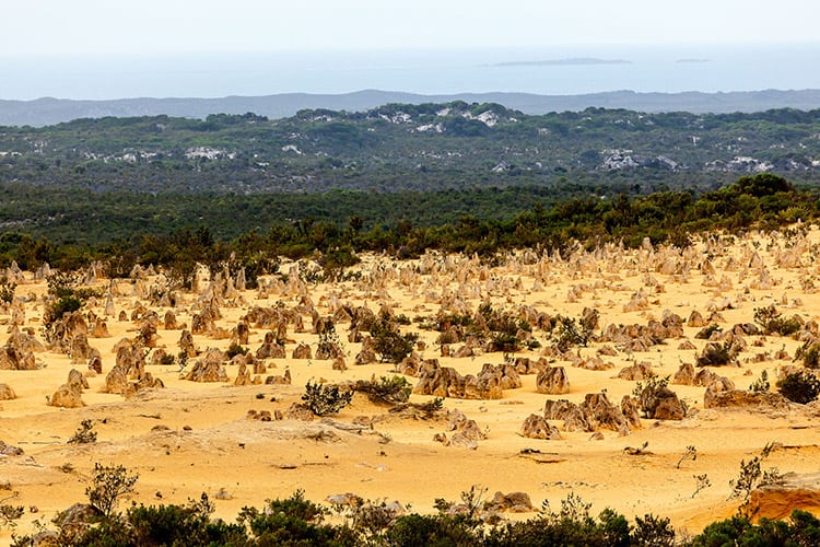 Nambung National Park