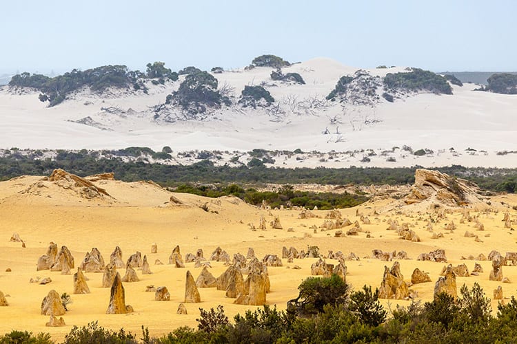 Pinnacles in het Nambung National Park