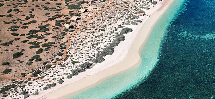 Sal Salis Beachsafari camp