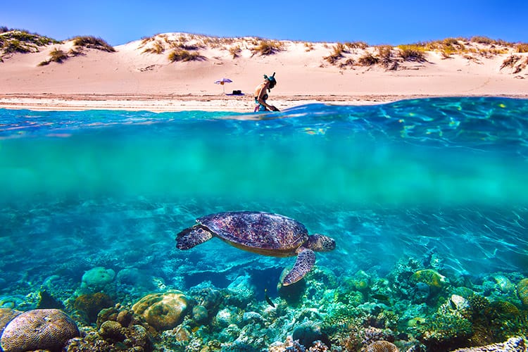 Ningaloo Reef
