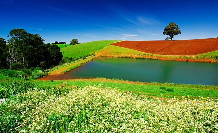 Het binnenland van Tasmanië