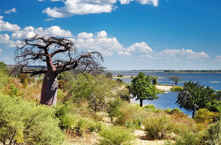 Chobe National Park