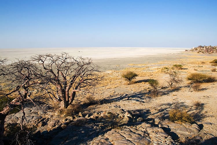 Makgadikgadi Pans National Park