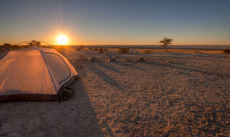 Makgadikgadi Pans National Park