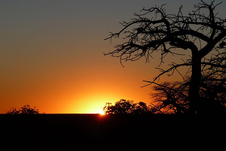 Makgadikgadi Pans National Park