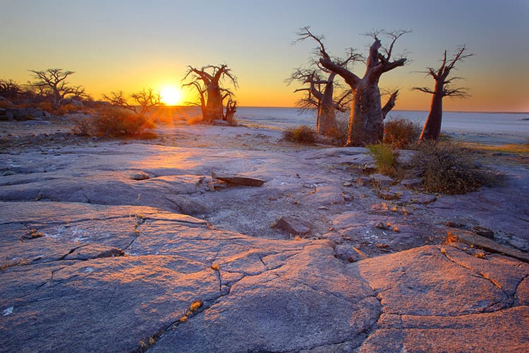 Makgadikgadi Pans National Park