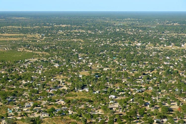 Maun