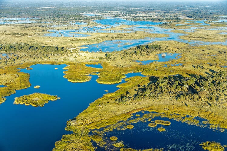 Okavango Delta