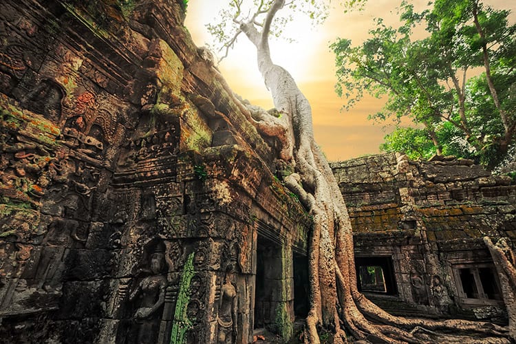 Ta Prohm tempel