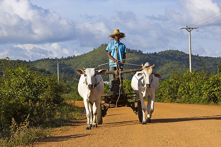 Boer op het platteland bij Kampot