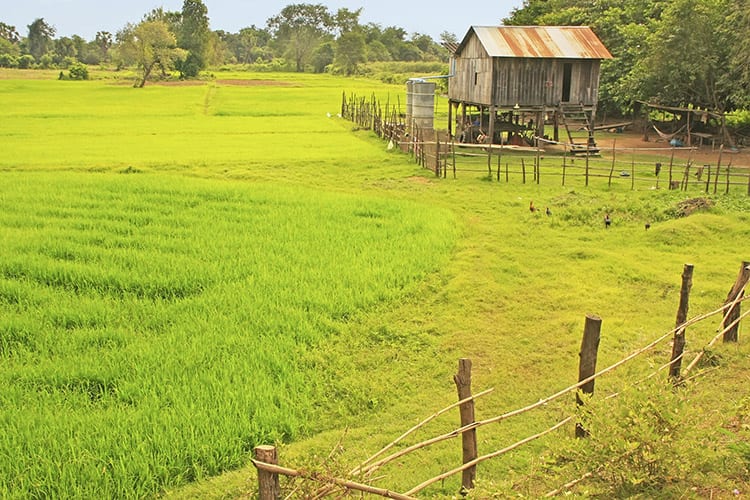 Platteland buiten Kratie