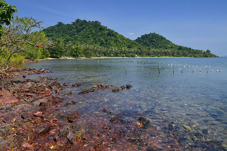 Rabbit Island
