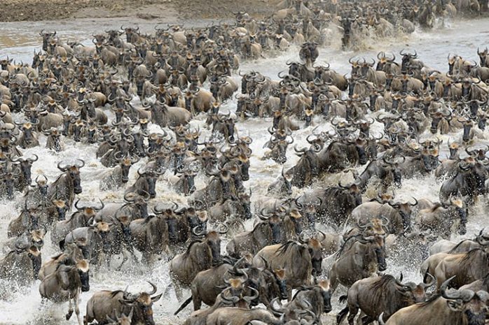 Kenia Mara-rivier