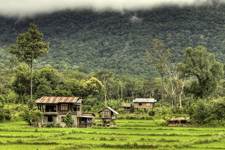 Bolaven Plateau