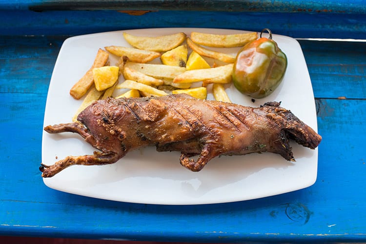 Cavia, Peru