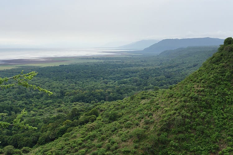 Lake Manyara National Park