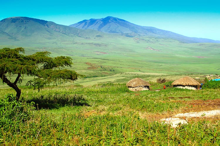 Serengeti