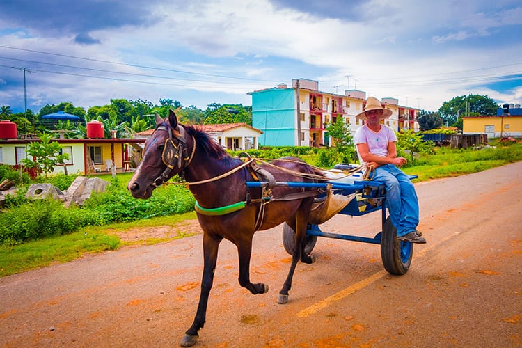 Viñales