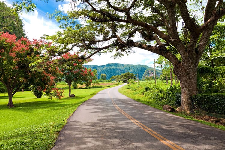 Viñales-vallei