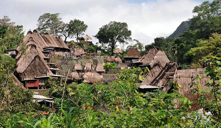 Bajawa